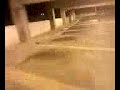 longboard parking garage