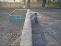Gorz�w Stunts