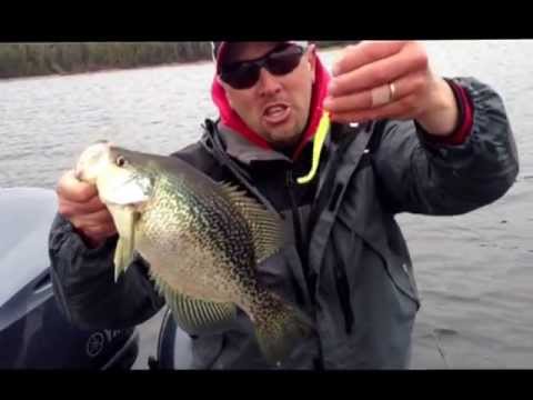 Finding Spring Crappies and How to Filet Crappies