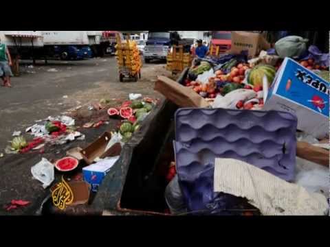 how to eliminate food waste