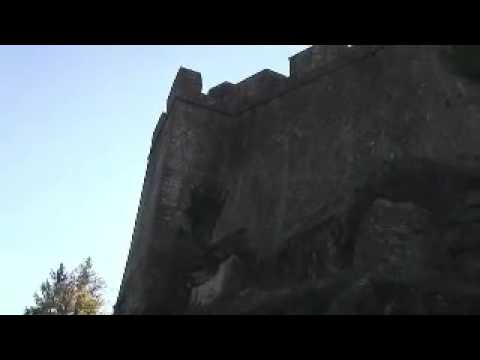 Immagine anteprima YouTube