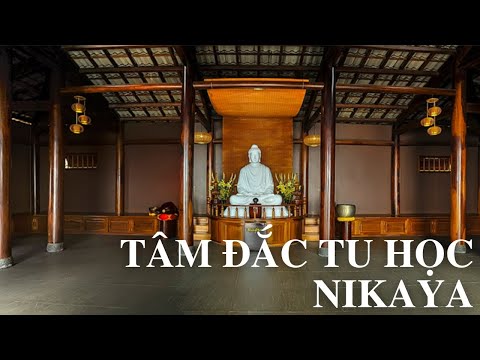 TÂM ĐẮC TU HỌC NIKAYA | Linh Quy Pháp Ấn TÂM ĐẮC TU HỌC NIKAYA | Linh Quy Pháp Ấn
