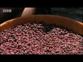 Nicaragua devastation- Holidays in the Danger Zone - America Was Here- BBC Travel