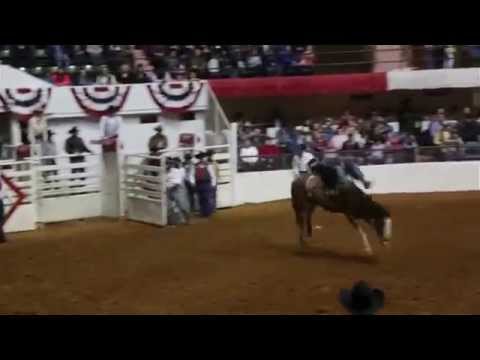 Discover the Fort Worth Stock Show and Rodeo 
