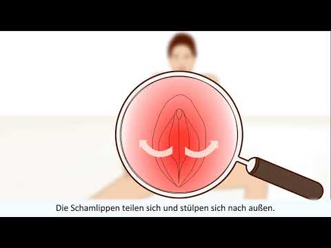 orgasmus - Diese Animation erklärt alles über den weiblichen Orgasmus. Jede Stufe des weiblichen Orgasmus beschrieben. Mit Gesundheit TV können Sie komplexe medizinisch...