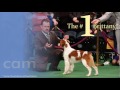 Click here to watch this video 