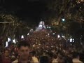 Portuguese football fan　5
