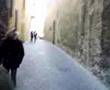 Quel mazzolin di fiori LIVE by Trento