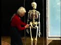 integrative biology 131   lecture 10:  muscular system