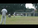 cricket