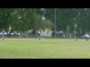 cricket