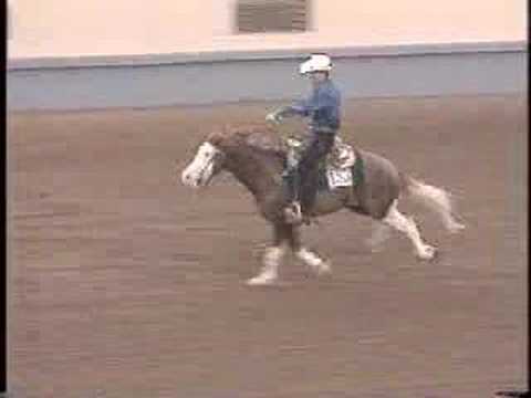 gunner - APHA Horse Gunner, Colonels Smoking Gun. The first Painthorse in the NRHA.
