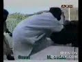 Pet Lion Attacks