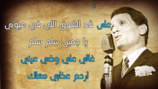 عبد الحليم حافظ