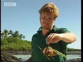 Catching octopus and eels - ray mears extreme survival - bbc
