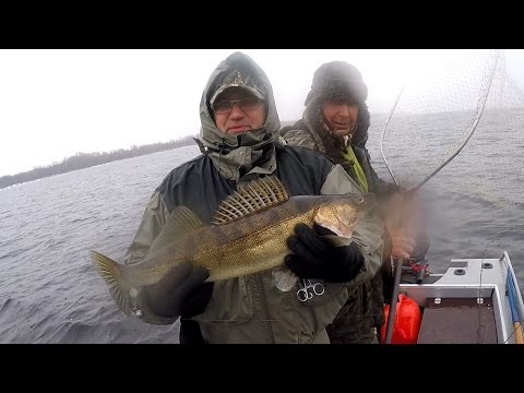 рыбалка самарская видео рыбалка самарская видео
