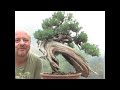 Bonsai Wiring Part 2-The Burning Question