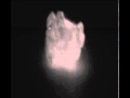 High Speed Cam: Trillion Frames Per Second, CameraCulture Grp,MIT MediaLab+ Bawendi Lab, MIT