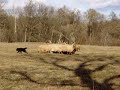 Boróka Bogyó\ Boróka Bogyó\