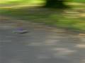 Traxxas Bandit, Novak hv, velociti brushless, 8 4200 cells 1