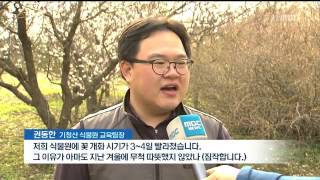 뉴스데스크