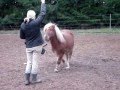 træning tricks