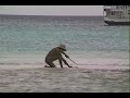 Fish On The Reef