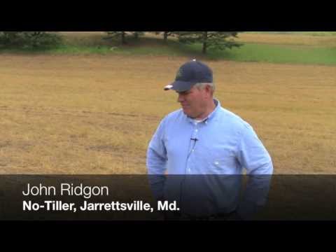 how to fertilize no till corn