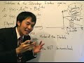 QM0.11: Physical Meaning of Wave solutions