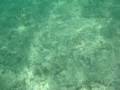 videos de bruna 080