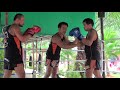 Tiger Muay Thai techniques: Kick Block feint to front kick