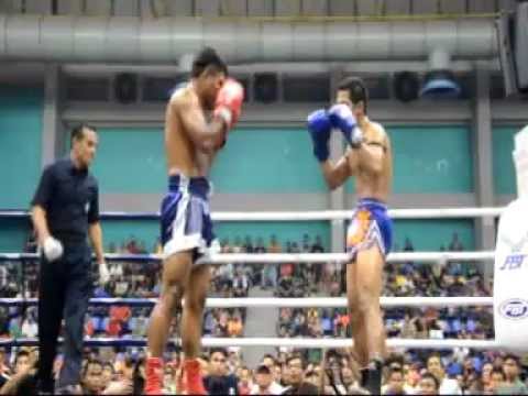 AMAZING FIGHT ! ! POKKU KUDA MERAH VS EDDY SELENDANG KUNING ( HD )