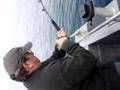 videos de Seward Salmon Shark