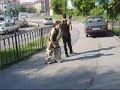 Free run Timisoara.(pulik renzo remus) Free run Timisoara.(pulik renzo remus)