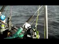 Tarjanne_Final2009_hd.m4v