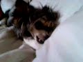 Luca\