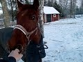 Jamie har bus i hagen tillsalu 2