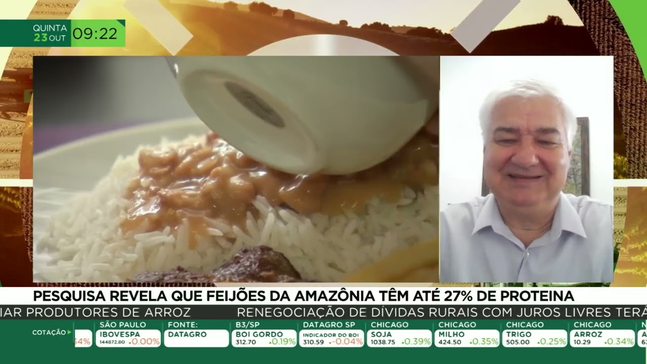 Pesquisa revela que feijões da amazônia têm até 27% de proteína