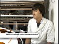 Разведение перепелов: Prepelite Iasi