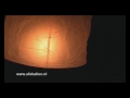 ufo, Groningen, Enschede, ufoballon, ufoballoon, skylantern ufo, Groningen, Enschede, ufoballon, ufoballoon, skylantern