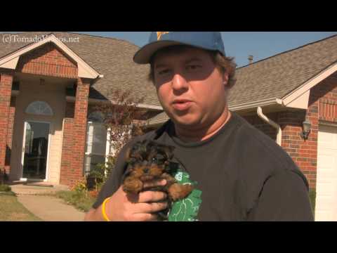 Meet Gizmo, the storm chasing dog!