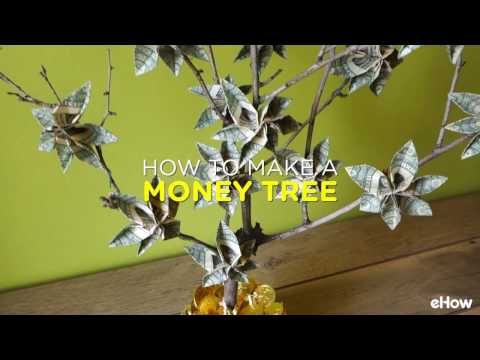 video-linktoworks-How to Make a Money Tree