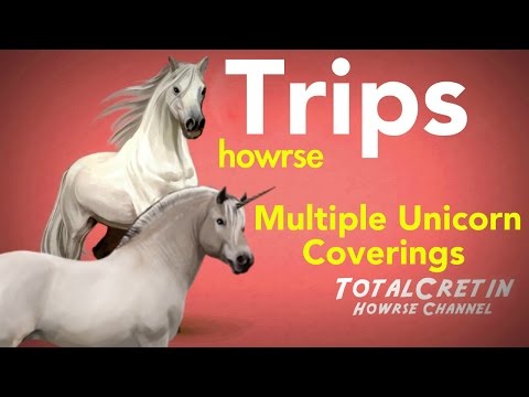 how to start off your ec on howrse