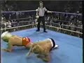 Brad Armstrong in Tag Action