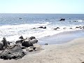 Playa Amarilla - ConCon Playa Amarilla - ConCon