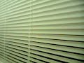 Poontang Pirates - The Window Shutter