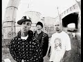 teledysk, klip, Transplants,- D.R.E.A.M.