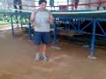 box 2 desplazamientos combinados