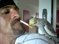 videos de Bob et coco