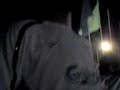 09-08-08_2141.3gp 09-08-08_2141.3gp